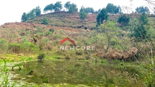 Lote/Terreno com 1 Quarto à venda, 100m² no Centro, São Francisco de Paula