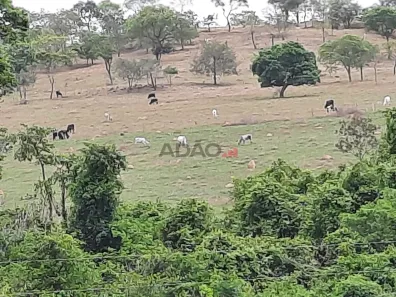 Fazenda/Sítio à venda, 291000m² no , Cezarina