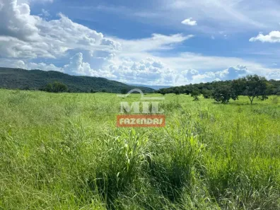 Fazenda/Sítio à venda, 500m² no , Niquelândia