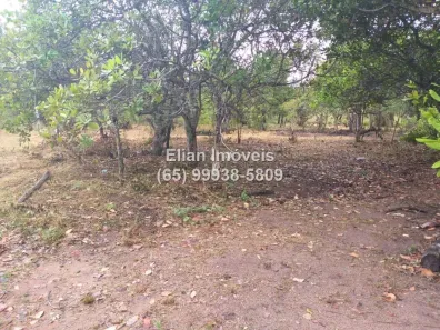 Lote/Terreno à venda, 450m² no Nova Esperança, Cuiabá