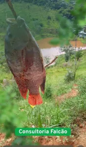 Lote/Terreno à venda, 600m² no Águas de Igaratá, Igaratá