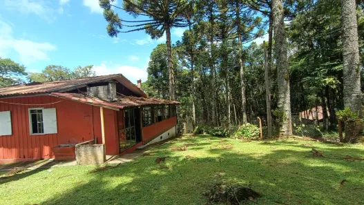 Fazenda/Sítio à venda, 61122m² no Vila Rivabem, Campo Largo