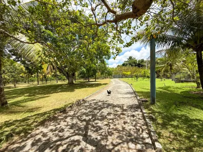 Fazenda/Sítio com 4 Quartos à venda, 350m² no Centro, Itaporanga d'Ajuda