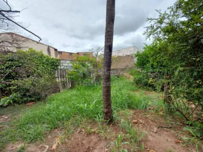 Lote/Terreno à venda, 528m² no Jardim Santa Lúcia, São José do Rio Preto
