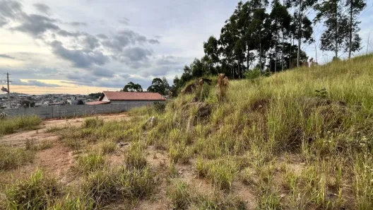 Lote/Terreno à venda, 645m² no Jardim Bom Jesus, Toledo