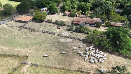 Fazenda/Sítio à venda, 1270000m² no Área Rural de Montes Claros, Montes Claros