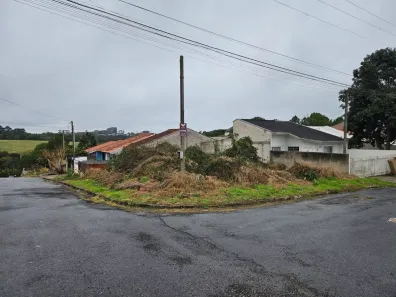 Lote/Terreno à venda, 221m² no Jardim Céu Azul, Campo Largo