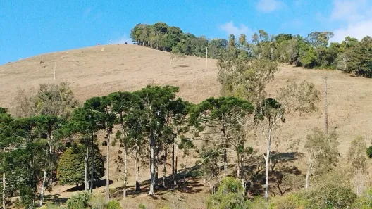 Lote/Terreno à venda, 20000m² no , Bocaina de Minas
