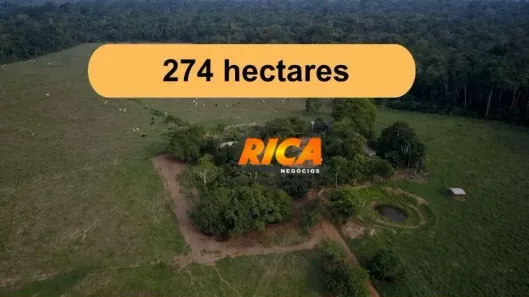 Fazenda/Sítio à venda, 2740000m² no Área Rural de Porto Velho, Porto Velho
