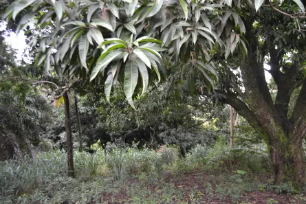 Lote/Terreno à venda, 5485m² no Sítio de Recreio Ipê, Goiânia
