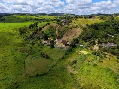 Fazenda/Sítio com 5 Quartos à venda, 6600m² no , Sairé