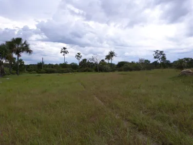 Fazenda/Sítio com 2 Quartos à venda, 226000m² no Goiasminas, Formoso