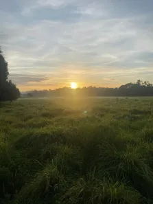 Fazenda/Sítio com 3 Quartos à venda, 1452000m² no Centro, Alvorada D'Oeste