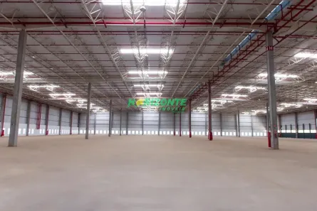 Galpão/Depósito/Armazém para alugar, 3885m² no Vila Galvão, Caçapava