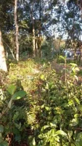 Lote/Terreno à venda, 181m² no , Itanhaém