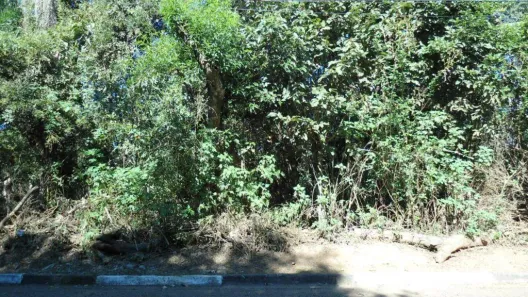 Lote/Terreno à venda, 1100m² no Caraguatá, Mairiporã
