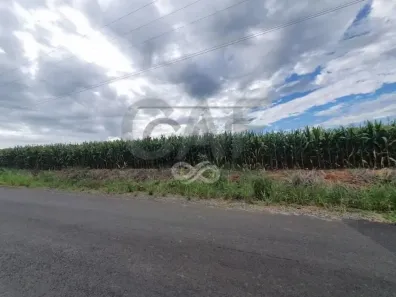 Fazenda/Sítio com 1 Quarto à venda, 370m² no , Monte Alegre do Sul