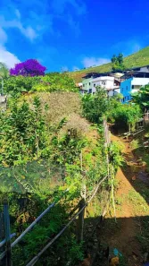 Fazenda/Sítio com 3 Quartos à venda, 120m² no , Lima Duarte