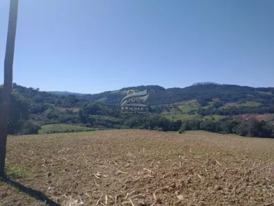 Lote/Terreno à venda, 79898m² no , Angelina