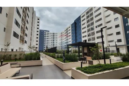 Apartamento com 3 Quartos para alugar, 67m² no Jardim Bosque das Vivendas, São José do Rio Preto