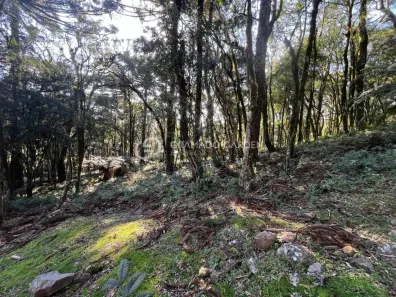 Lote/Terreno à venda, 783m² no , Canela
