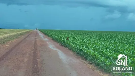 Fazenda/Sítio com 3 Quartos à venda, 7546m² no Centro, Nobres
