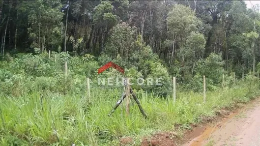 Lote/Terreno à venda, 1870m² no Recanto Araucária, Campos do Jordão