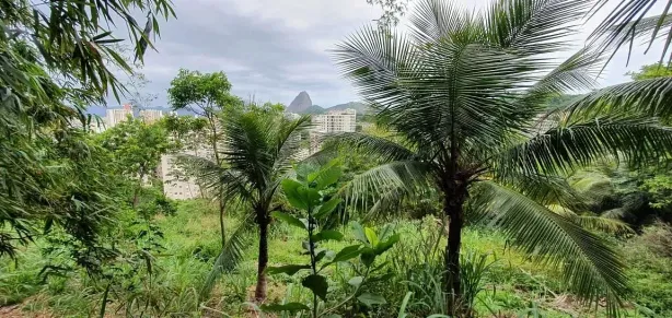Lote/Terreno à venda, 10m² no Laranjeiras, Rio de Janeiro