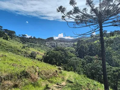 Fazenda/Sítio à venda, 653400m² no , Silveiras