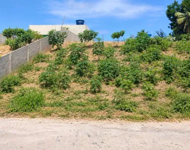 Lote/Terreno à venda, 450m² no , Ipojuca