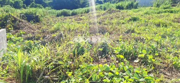 Lote/Terreno à venda, 600m² no Jardim Paiquerê, Valinhos