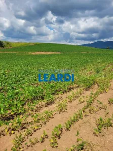 Fazenda/Sítio com 1 Quarto à venda, 1669800m² no Caldas, Caldas