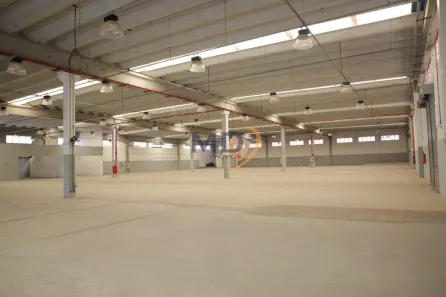 Galpão/Depósito/Armazém para alugar, 3976m² no Jardim Três Marias, São Paulo