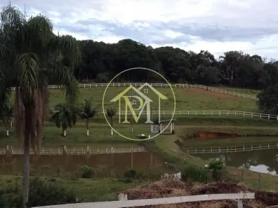 Fazenda/Sítio com 4 Quartos à venda, 7000000m² no Vila Sao Joao, Piedade