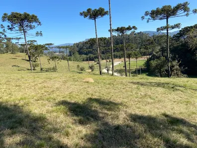 Lote/Terreno à venda, 48000m² no Águas Brancas, Urubici