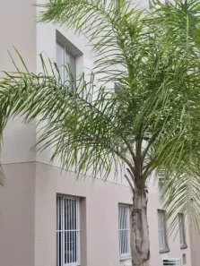 Apartamento com 2 Quartos à venda, 39m² no Neves (Neves), São Gonçalo