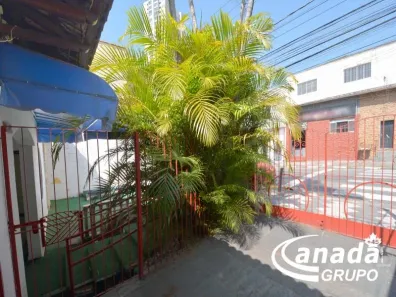 Sala Comercial com 13 Quartos para alugar, 400m² no Vila Osasco, Osasco