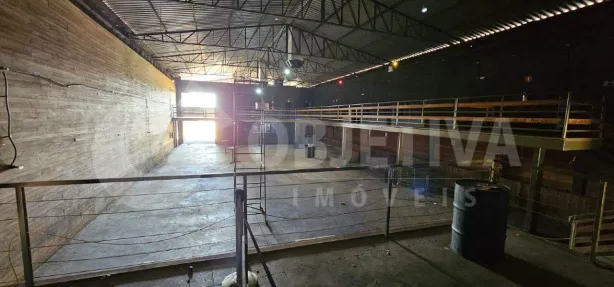 Galpão/Depósito/Armazém à venda, 916m² no Segismundo Pereira, Uberlândia