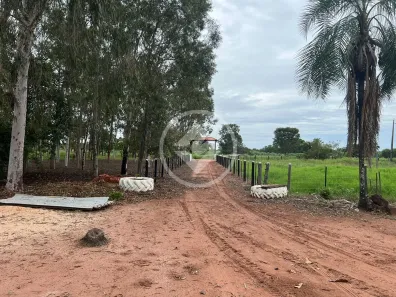 Fazenda/Sítio à venda, 39m² no , Diamantino