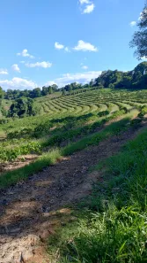 Fazenda/Sítio com 8 Quartos à venda, 680000m² no , Conceição do Rio Verde