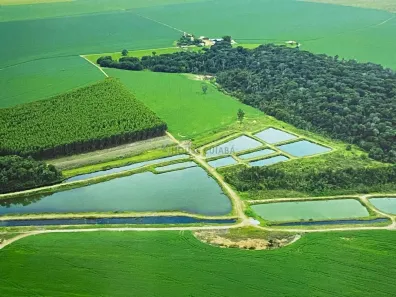 com 3 Quartos à venda, 480m² no , Santo Antônio do Leste