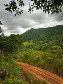 Lote/Terreno à venda, 7780m² no Encantada, Garopaba