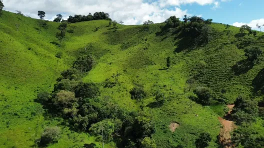 Lote/Terreno à venda, 132000m² no , Cambuí
