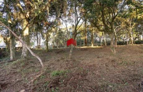 Lote/Terreno à venda, 904m² no Santa Felicidade, Curitiba