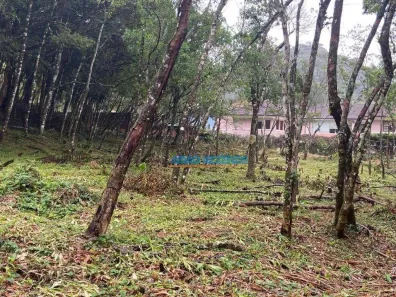 Lote/Terreno à venda, 4430m² no Carlos Guinle, Teresópolis