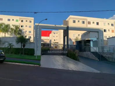 Apartamento com 2 Quartos para alugar, 46m² no Jardim Ana Eliza, Cambé