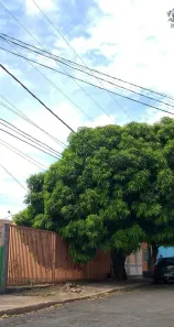Lote/Terreno à venda, 250m² no Morada da Serra, Cuiabá