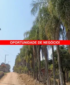 Lote/Terreno à venda, 5300m² no Chácaras do Guacuri, Itupeva