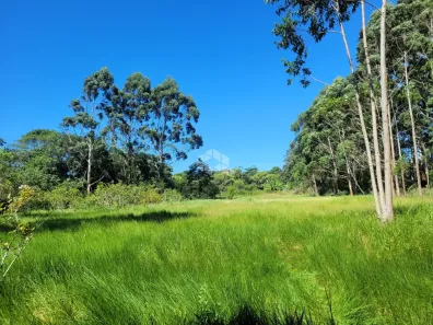 Fazenda/Sítio com 1 Quarto à venda, 76230m² no São João do Rio Vermelho, Florianópolis