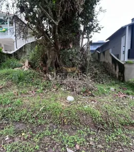 Lote/Terreno à venda, 360m² no Parque Residencial Itapeti, Mogi das Cruzes
